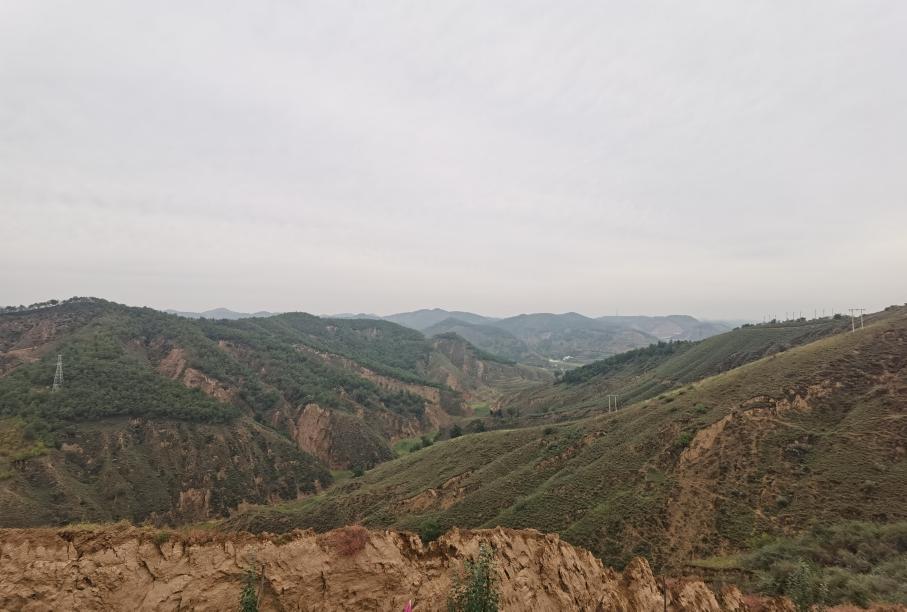 ��׼�����ֵ��beats365���������������������Ч(ͼ1)